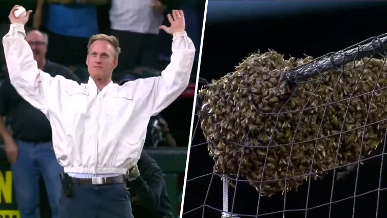 Beekeeper who saved Dodgers-Diamondbacks game from swarm gets to throw out first pitch