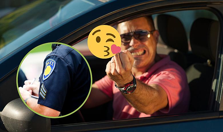 Is It Illegal to Flip Off a Cop in Michigan? Here's What the Law Says