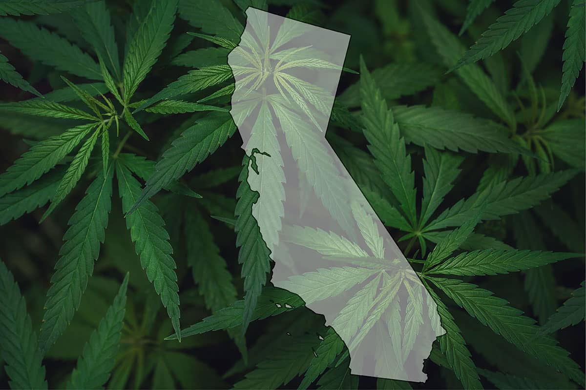 Marijuana laws in California 2024: What You Need To Know