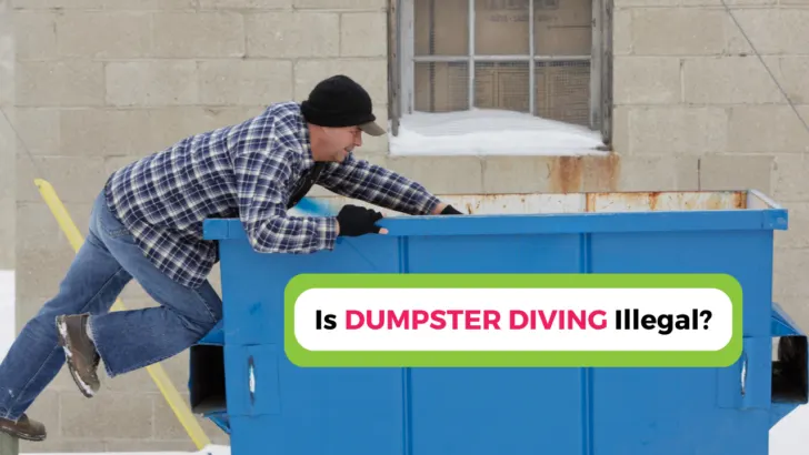 Is It Illegal to Dumpster Dive in Montana? Here’s What the Law Says