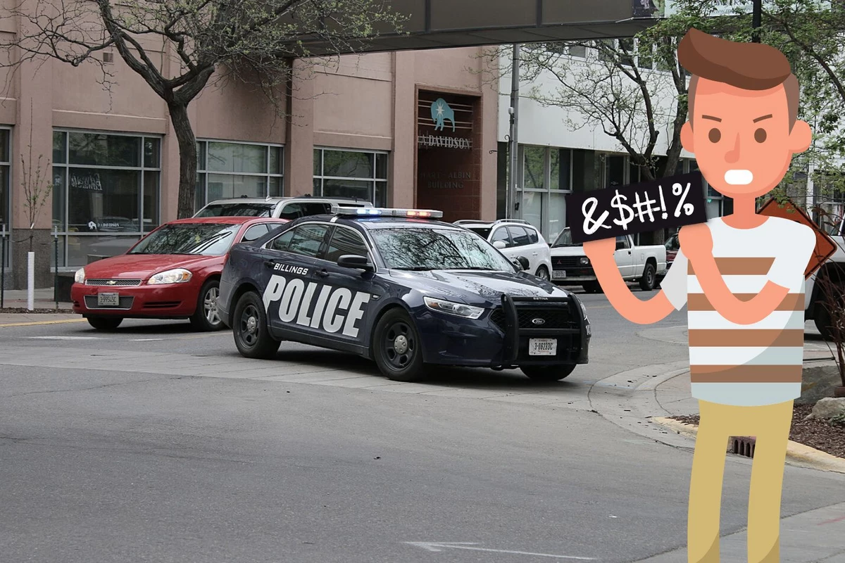 Is It Illegal to Flip Off a Cop in Minnesota? Here's What the Law Says